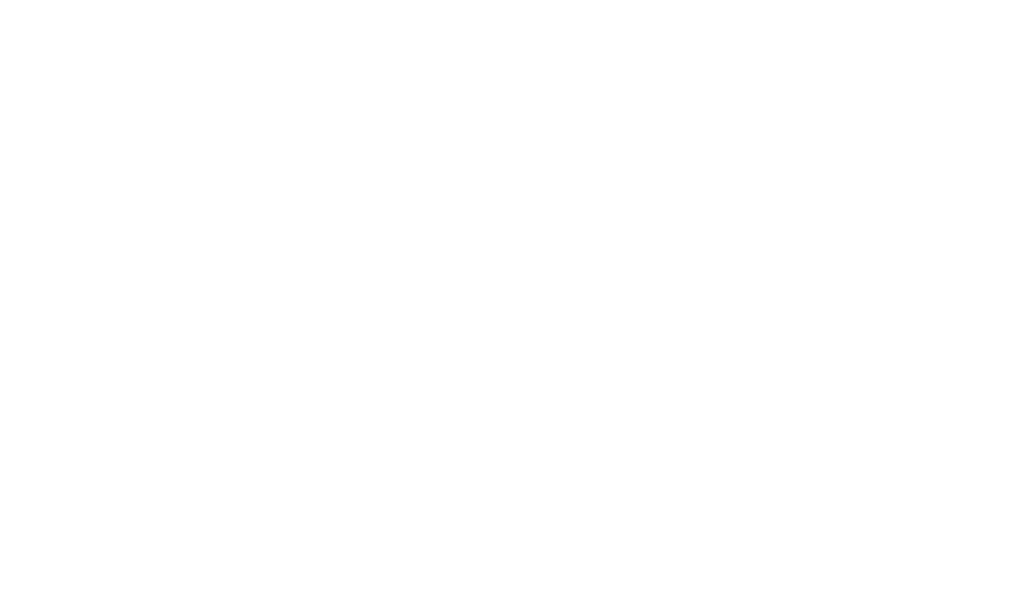 Save Absentee Voting Maine